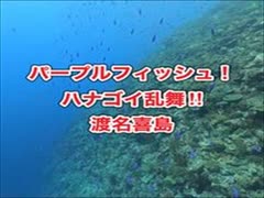 パープルフィッシュ・渡名喜島