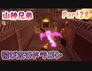 【星のカービィ ディスカバリー】『飛び立てドラゴン』山神兄弟でゲーム実況【Part.28】