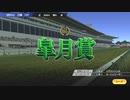 ついなちゃんのふいんきでウイポ9 2021の裏側161