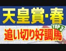 天皇賞春(2022)の追い切りや調教チェック/抜群の動きを見せたのは？
