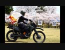 【陸上自衛隊】煉獄杏寿郎のコスプレをした自衛官をご覧ください