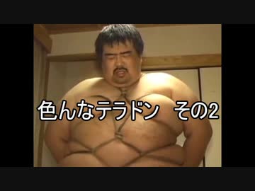 色んなテラドン２