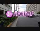 【ニコニコ自転車動画祭2022春】自転車で徘徊する 10 〜お花見がてら皇居をぐるっと〜