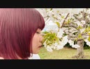 kageori"故に、それでも。"(Official Music Video)
