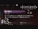 【ゆっくり実況】Horizon Zero Dawn その65