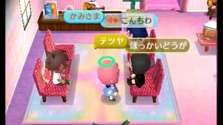 【とび森 オン島】虚言癖のてつやに会いました【りーくん】【嘘つき】【閲覧注意】【変態】【救いようのない奴】【虚言癖】