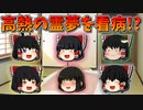【ゆっくり茶番】熱を出した霊夢