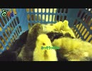 変なおじさんとこの　鶏さん２８７　ひよこ饅頭詰め合わせ