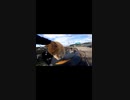 こいつ動くぞ！？今にも原チャリを運転しそうな野良猫#Shorts【野良猫】【感動猫】