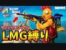 弱体化がヤバイ「ライトマシンガン（LMG）」縛りでビクロイとってきた【フォートナイト/Fortnite】