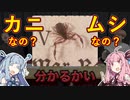 カニなの？虫なの？後ずさりが素早い「カニムシ」を解説！【QuizKnock クイズ解説】【VOICEROID琴葉葵・茜】