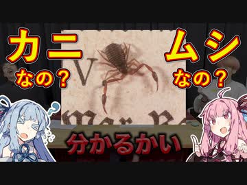 カニなの？虫なの？後ずさりが素早い「カニムシ」を解説！【QuizKnock クイズ解説】【VOICEROID琴葉葵・茜】