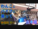 コーギーとモンキー１２５に乗って、古本屋が集う神保町へ向かう。のんびり、バイクでわんことツーリングし、本屋街を散歩するのだ。