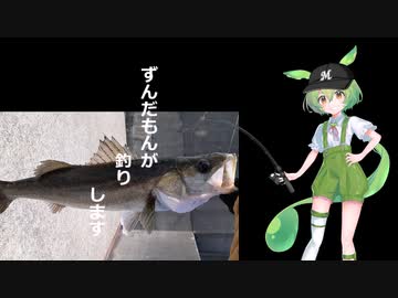 ずんだもんと釣りします【Ⅳ】サビキ釣り＋のませ釣り２