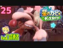 ロボ勇者の、星のカービィディスカバリーで実況学習25【VTuber】