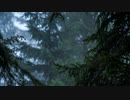 雨垂れ協奏曲／Auzenismo