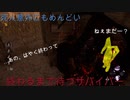 dbd　パークは全部腐ったがおもしろかった試合