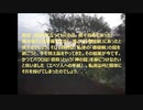 コロナ以降（終わりの始まり）３（考察１４）