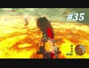【ゼルダの伝説BotW】実況プレイ-part35-