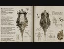 カッパのFF14生活163　禁忌の扉