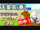 【Coefont実況】アリアルのエンジョイ３連単　天皇賞(春)【競馬予想】