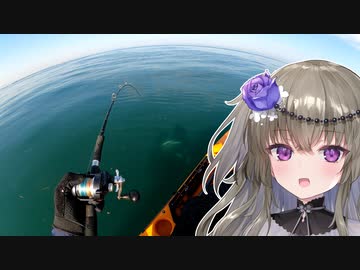 【VOICEVOXフィッシング】楽しいカヤックフィッシング #16