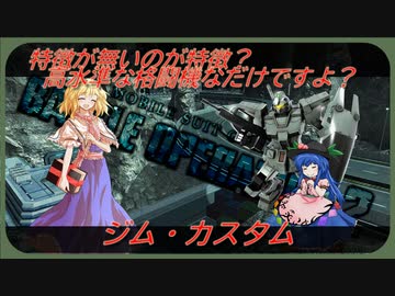 しおてんぷらのバトオペ２　part44