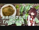 【思い切って野草を食べてみよう】#66 オオバコさんで「パンケーキ」！