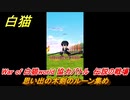 白猫　思い出の木剣のルーン集め　伝説の戦場　War of 白猫world 協力バトル　＃４１　【白猫プロジェクト】