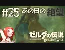 #25 ゼルダの伝説 ブレス オブ ザ ワイルド【あの日の絶望】