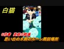 白猫　思い出の木剣のルーン５倍書周回場所　英雄の戦場　War of 白猫world 協力バトル　＃４４　【白猫プロジェクト】