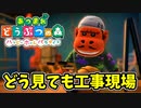 【あつまれ どうぶつの森 ハッピーホームパラダイス実況】別荘？？OK！任せて！アランの別荘「どう見ても工事現場」完成編