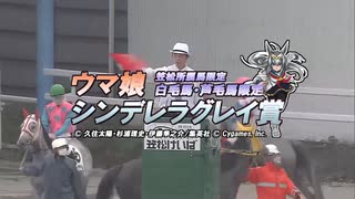 [笠松競馬]2022年4月29日 ウマ娘シンデレラグレイ賞[芦毛・白毛馬限定戦]