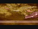 【kokony】悪魔の子【歌ってみた】