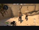 csgo griefeing (2019 - 2020) gaslighting