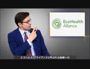 コウモリのコロナウイルス、機能獲得研究の資金は米NIHからだった・本編（自分の事を人気者の多数派だと思い込んでいるワク信陰謀論ガ―が、なぜ下品で幼稚な荒らし行為ぐらいしか能がないのか良く分かる動画）