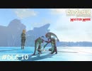 英傑ミファーの詩【ゼルダの伝説 ブレスオブザワイルド マスターモード】#DLC10