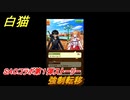 白猫　ソードアートオンラインコラボ第１弾ストーリー　強制転移　キリト・アスナ・ユウキ・アリス・シノン・リーファ・ユナ　ＳＡＯコラボ第１弾ガチャキャラ　＃８　【白猫プロジェクト】