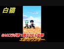 白猫　ソードアートオンラインコラボ第１弾クエスト攻略　エンカウンター　キリト・アスナ・ユウキ・アリス・シノン・リーファ・ユナ　ＳＡＯコラボ第１弾ガチャキャラ　＃９　【白猫プロジェクト】
