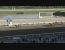 2022年4月30日高知競馬3R こども劇場騎手会協賛 ファーストキッス特別(B-2組) シンコーマーチャン