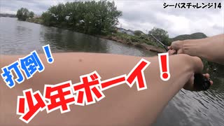 魚はいるらしい【シーバスチャレンジ14】