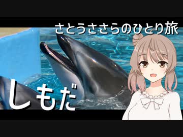 【金目鯛の街】海の生き物とふれあって食べる！　後編