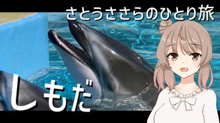 【金目鯛の街】海の生き物とふれあって食べる！　後編