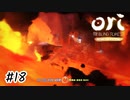 マグマの滝撲滅運動その2【Ori and the Blind Forest】#18