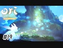 どれもこれも家族の愛【Ori and the Blind Forest】#19(終)
