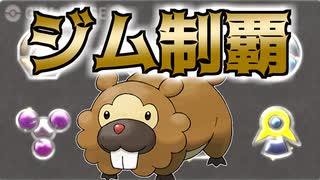ビッパだけでジムバッジ制覇してみた【ポケモンBDSP】