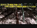 （続、対ハクビシン戦準備回）変態忍者の、有害鳥獣駆除従事活動記・その１９５