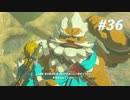 【ゼルダの伝説BotW】実況プレイ-part36-