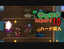 【ゲーム実況】アップデートされたテラリアを上級モードで遊んでたらハードに突入してしまった話 10【テラリア】