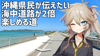 【日本一周勢/動画投稿者/沖縄旅行者向け】地元民が教える沖縄のここ走っとけ！って道